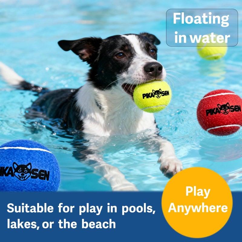 PIKASEN Dog Squeaky Tennis Balls for Pet Playing in 3 Sizes Premium Strong Dog & Puppy Balls for Training, Play, Exercise The Easiest Color for Dogs Red Yellow Blue (Medium-12pack) - Image 5